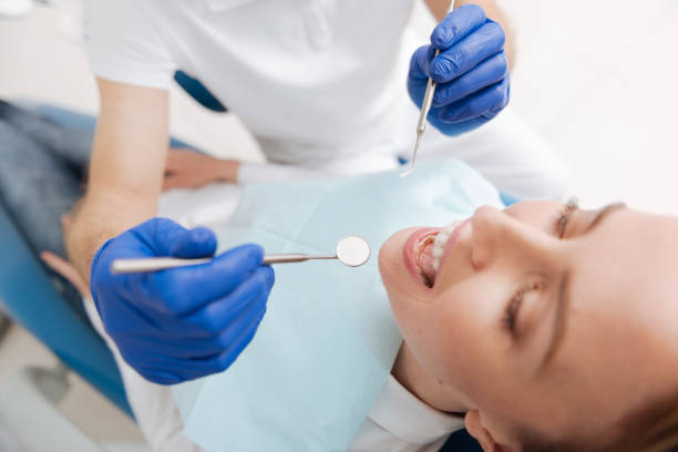 Reliable Northview, MI Holistic Dental Care Services Solutions
